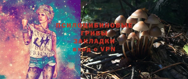 соль ск Волосово