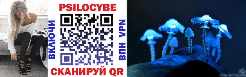 Галлюциногенные грибы Psilocybine cubensis  Томск 